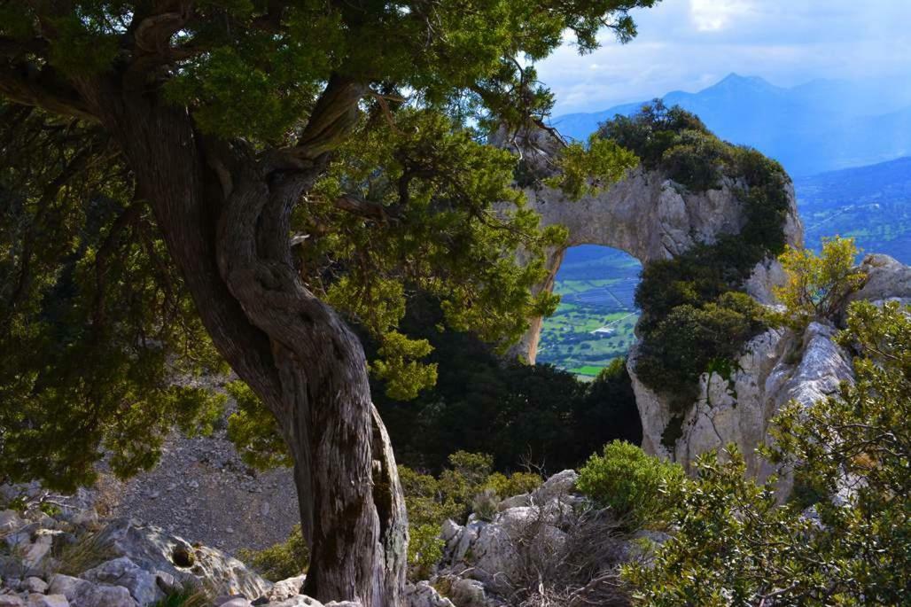 Canne Al Vento Galtellì Buitenkant foto